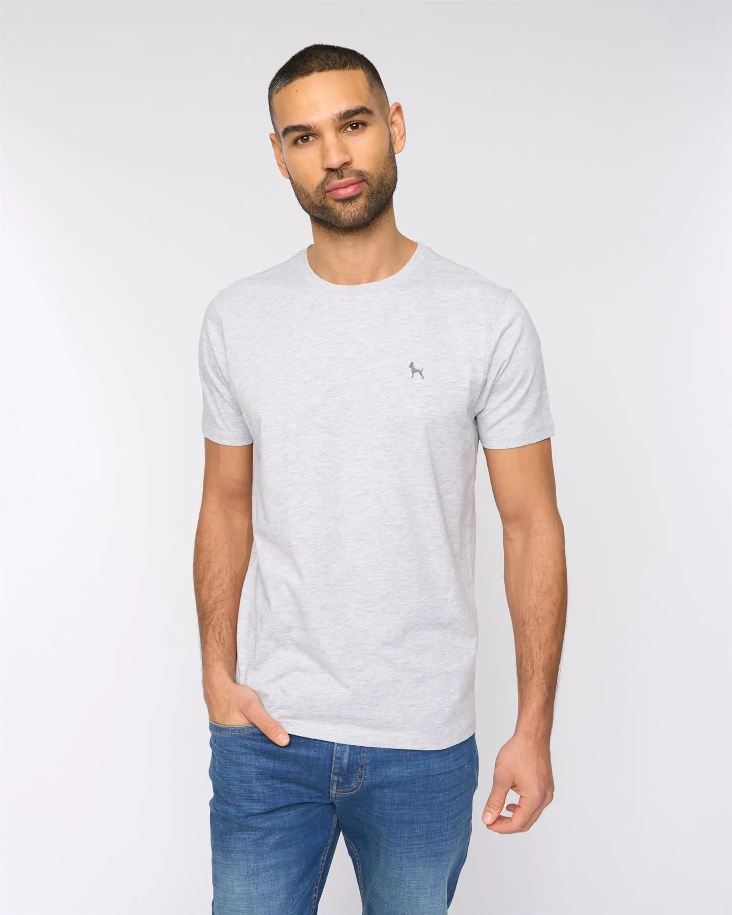 Levine T-Shirt 5pk Assorted
