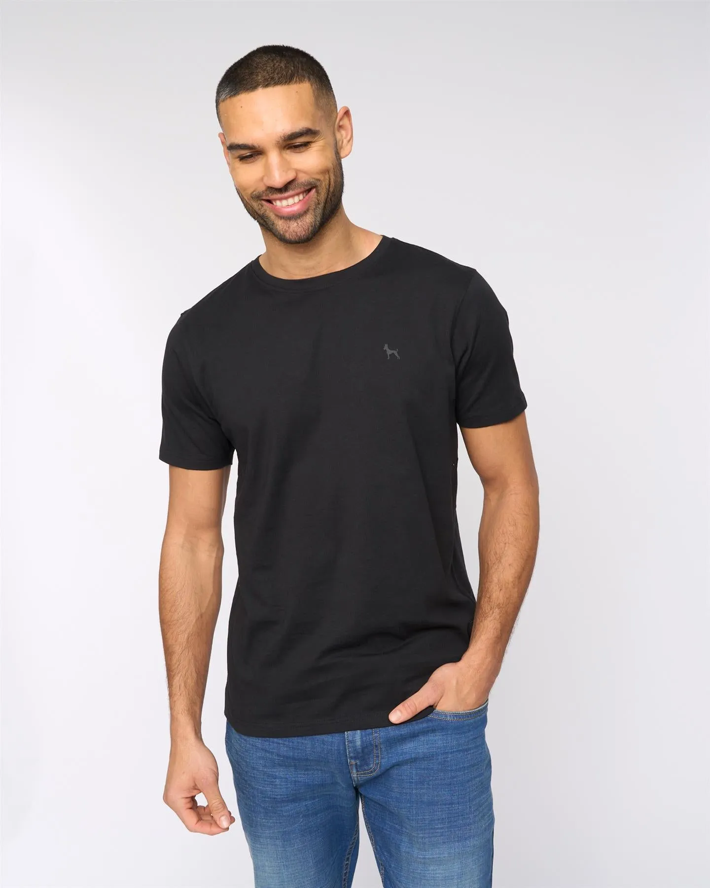 Levine T-Shirt 5pk Assorted