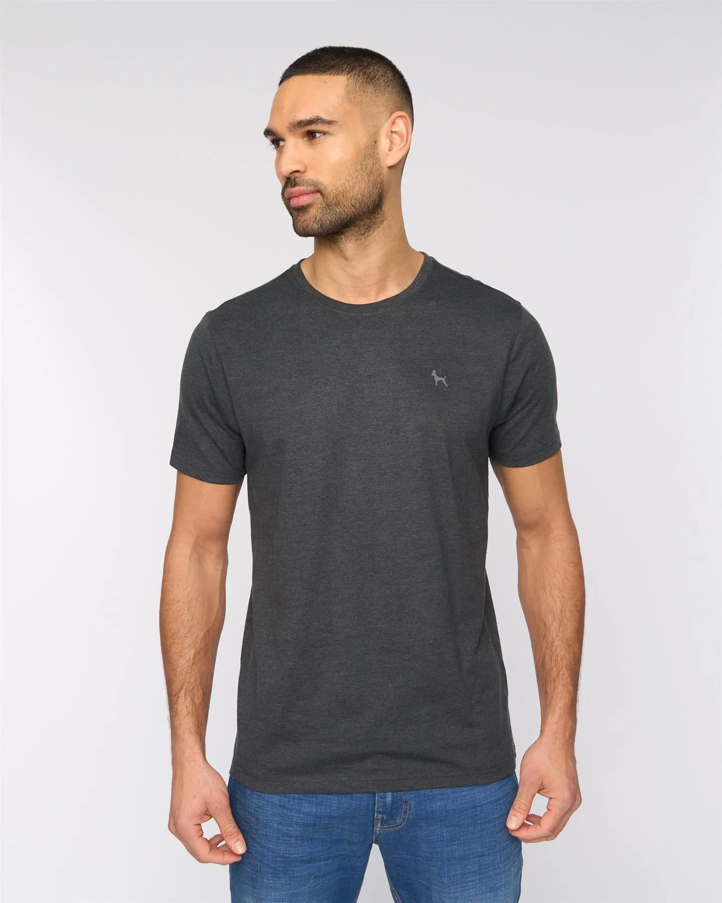 Levine T-Shirt 5pk Assorted