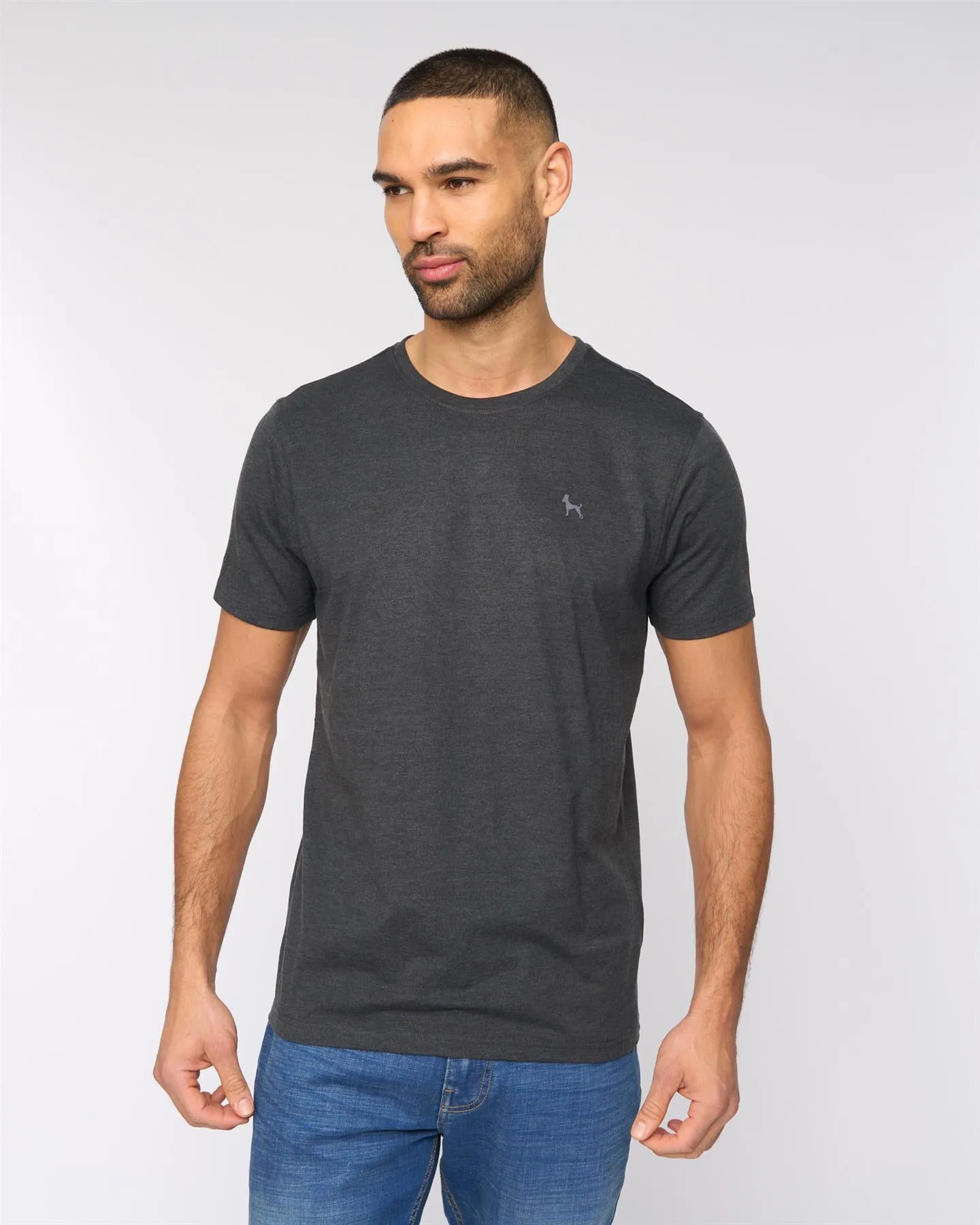 Levine T-Shirt 5pk Assorted