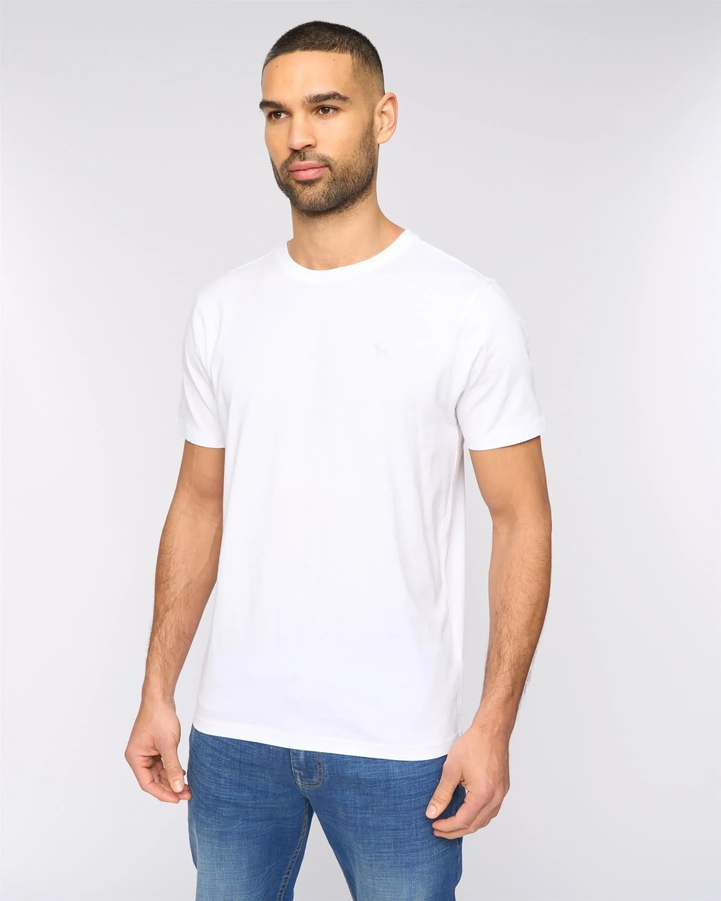 Levine T-Shirt 5pk Assorted