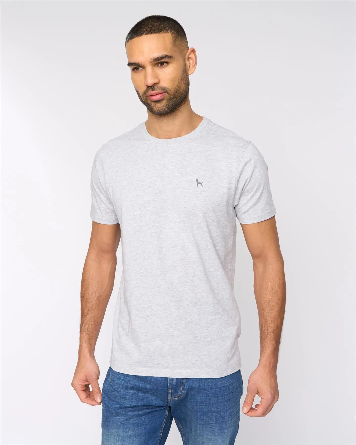 Levine T-Shirt 5pk Assorted