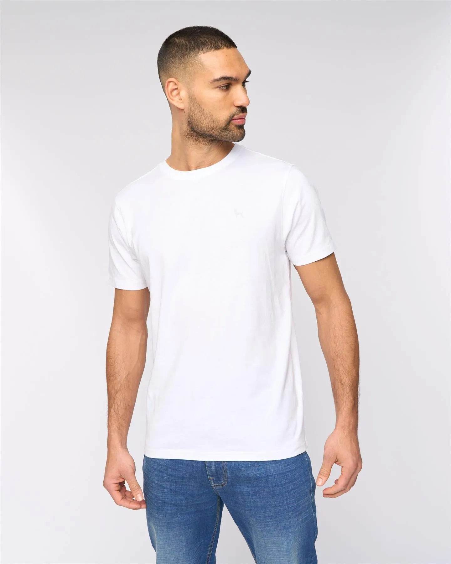 Levine T-Shirt 5pk Assorted